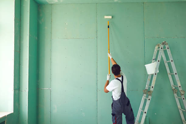 Best Water Damage & Mold Remediation  in Azalea Park, FL